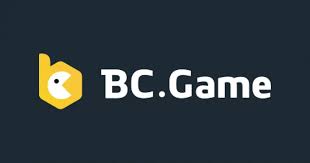 BC App Overview Revolutionizing Business Management